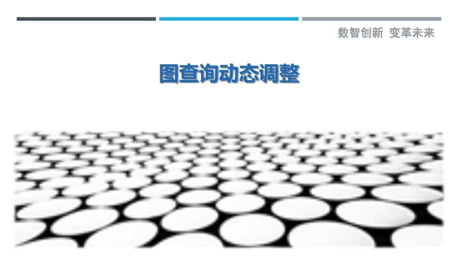 图查询动态调整-洞察研究_第1页