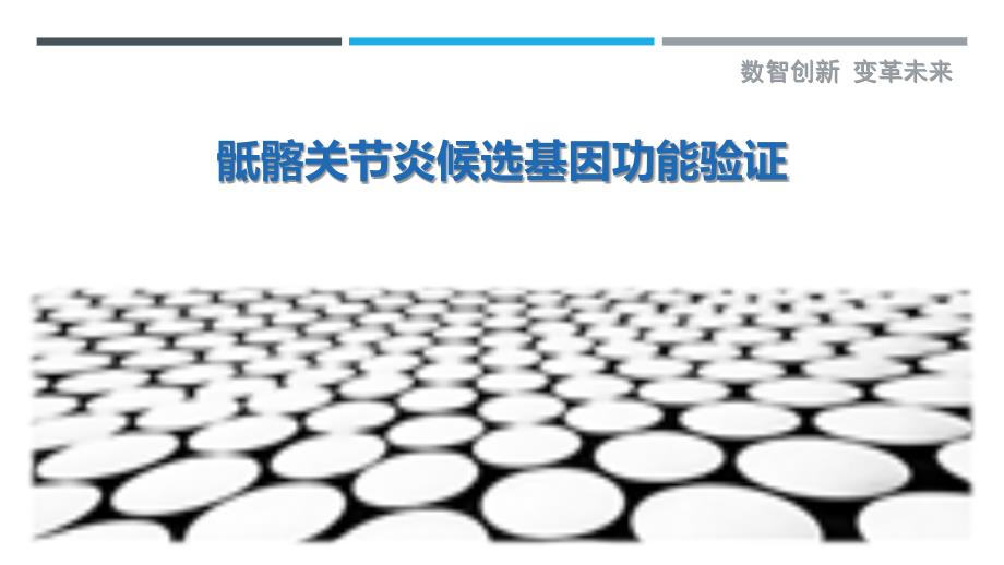 骶髂关节炎候选基因功能验证-详解洞察_第1页