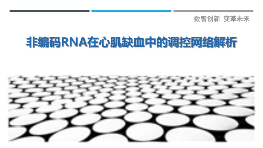 非编码RNA在心肌缺血中的调控网络解析-详解洞察_第1页