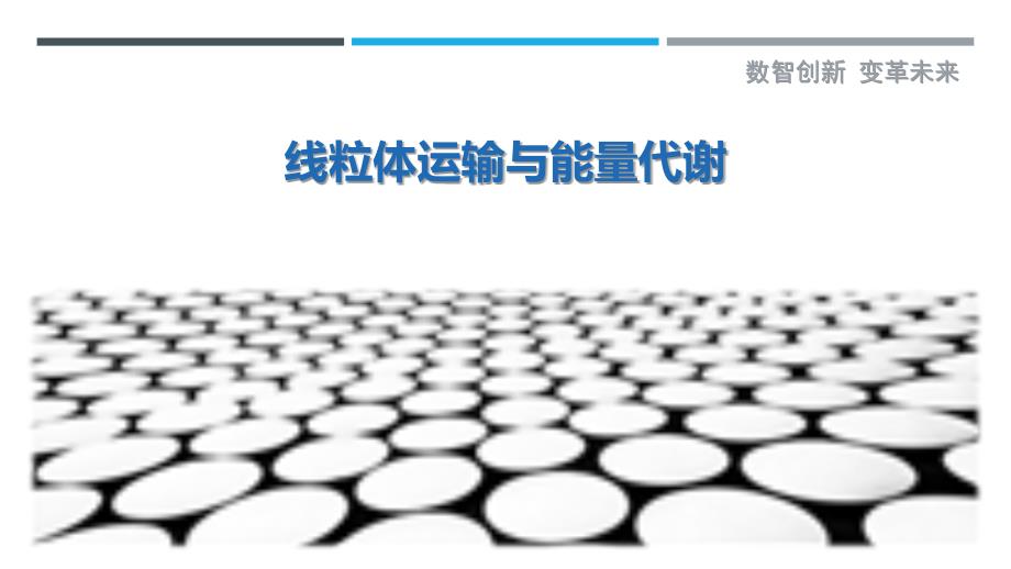 线粒体运输与能量代谢-详解洞察_第1页