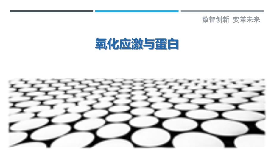 氧化应激与蛋白_第1页