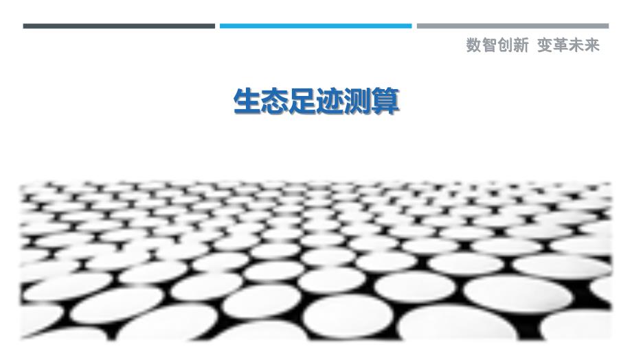 生态足迹测算_第1页