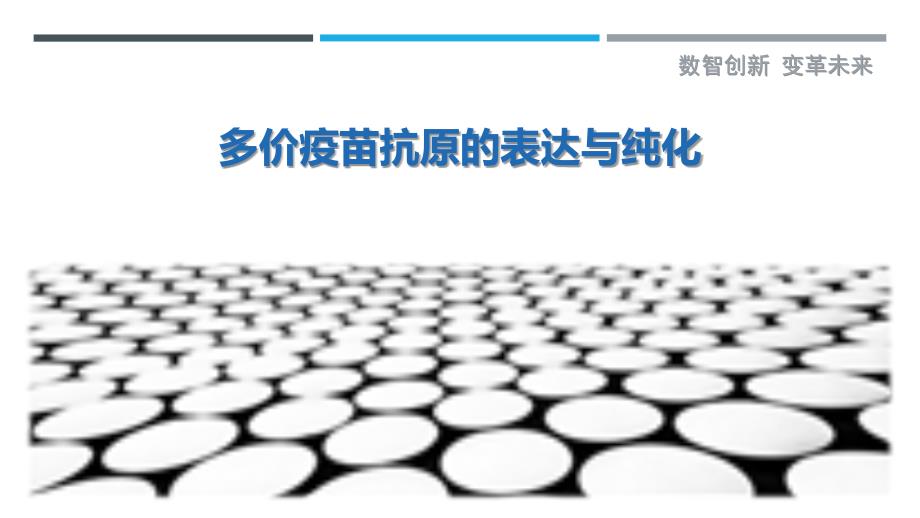 多价疫苗抗原的表达与纯化_第1页