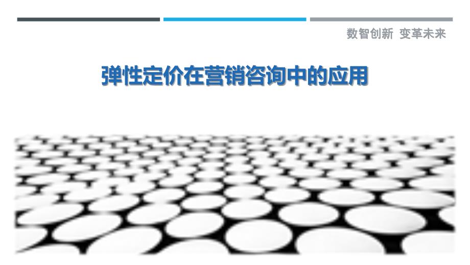 弹性定价在营销咨询中的应用_第1页