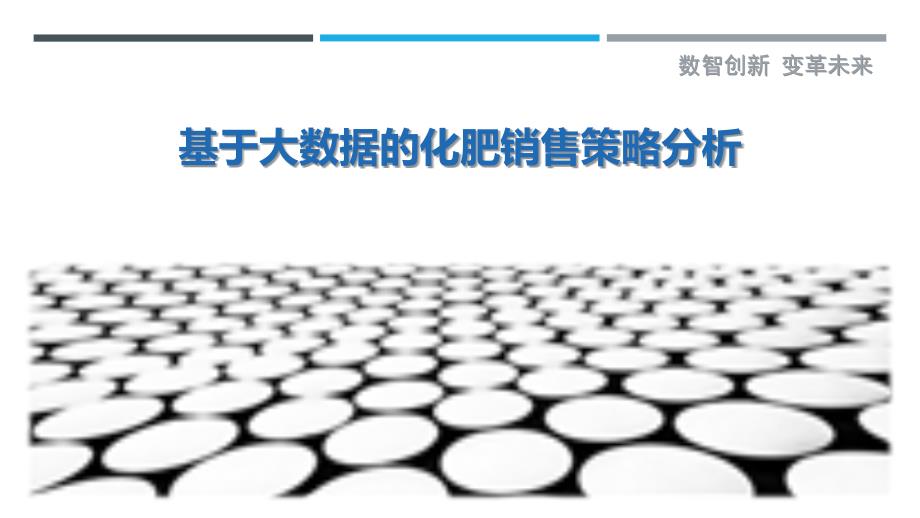 基于大数据的化肥销售策略分析_第1页