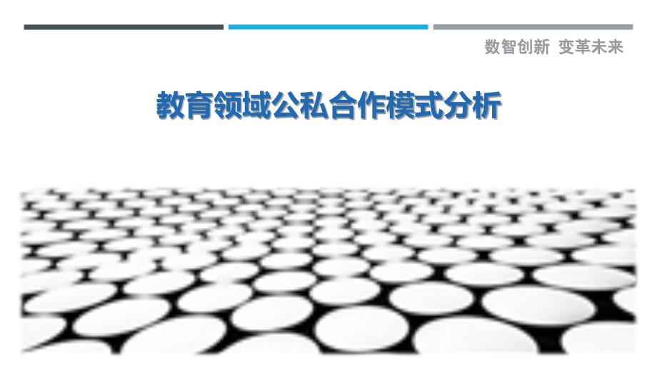 教育领域公私合作模式分析_第1页