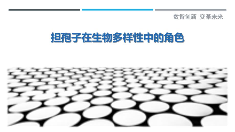 担孢子在生物多样性中的角色_第1页