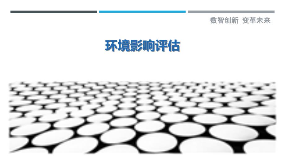 环境影响评估-第1篇_第1页