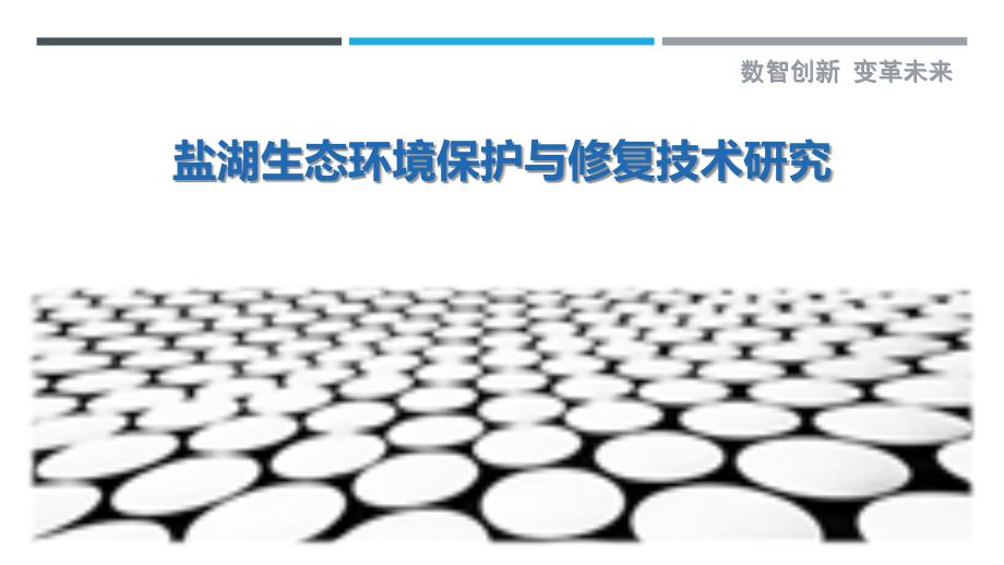 盐湖生态环境保护与修复技术研究_第1页