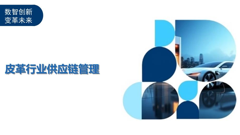 皮革行业供应链管理_第1页