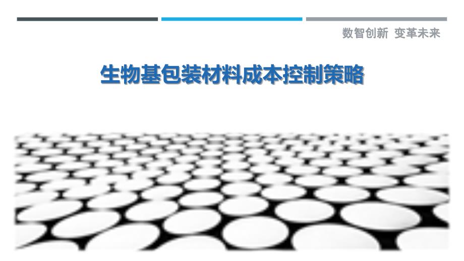 生物基包装材料成本控制策略_第1页
