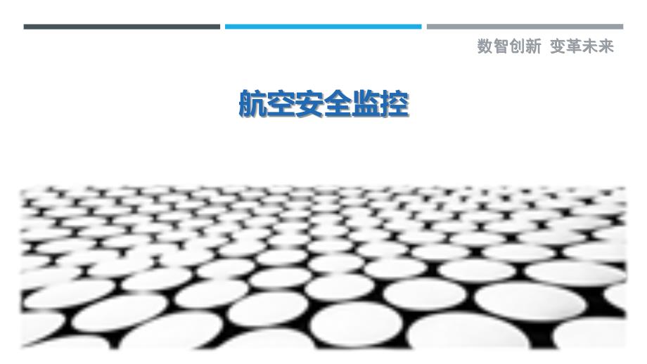 航空安全监控-第1篇_第1页