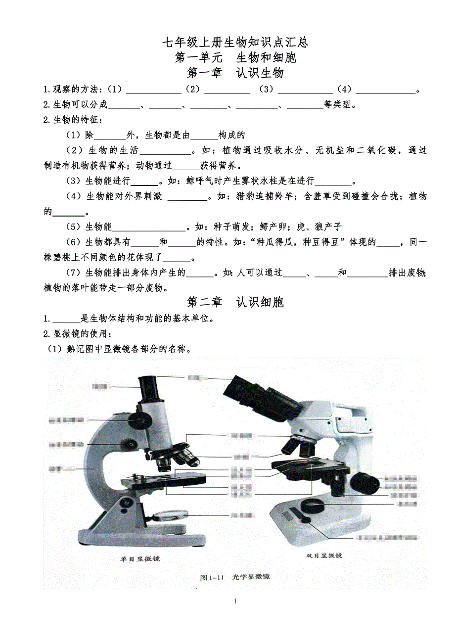 【生 物】2024-2025学年人教版生物七年级上册知识点汇总（填空）_第1页