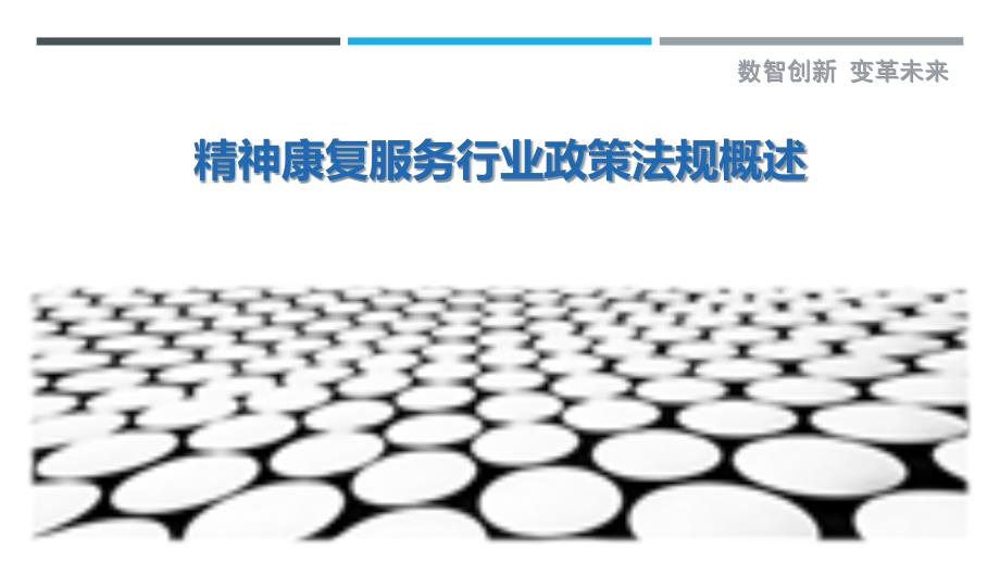 精神康复服务行业政策法规概述_第1页