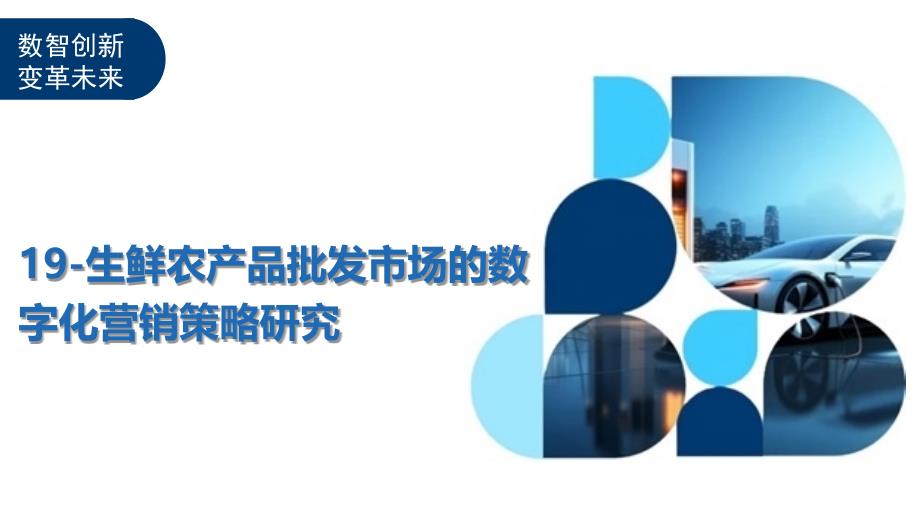 19-生鲜农产品批发市场的数字化营销策略研究-深度研究_第1页