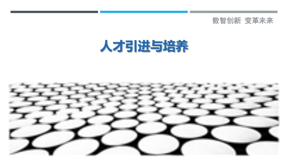 人才引进与培养-深度研究_第1页