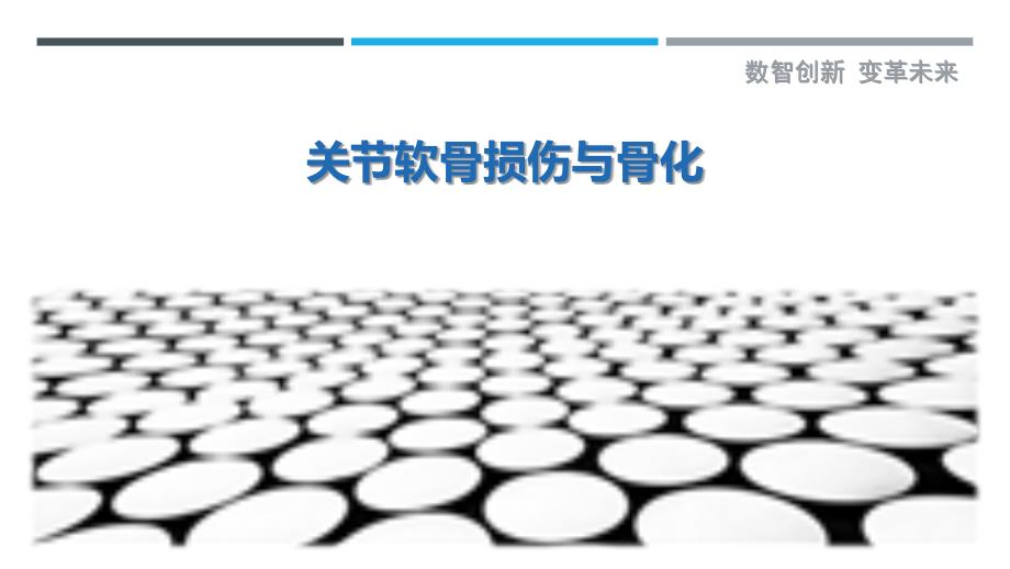 关节软骨损伤与骨化-深度研究_第1页