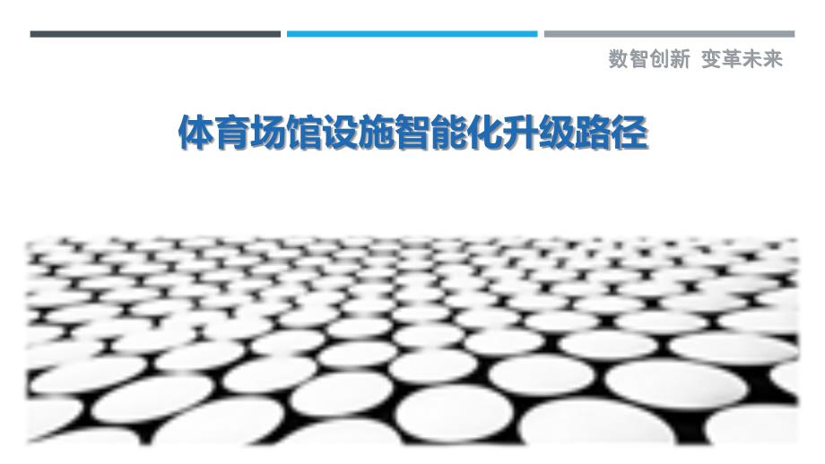体育场馆设施智能化升级路径-深度研究_第1页