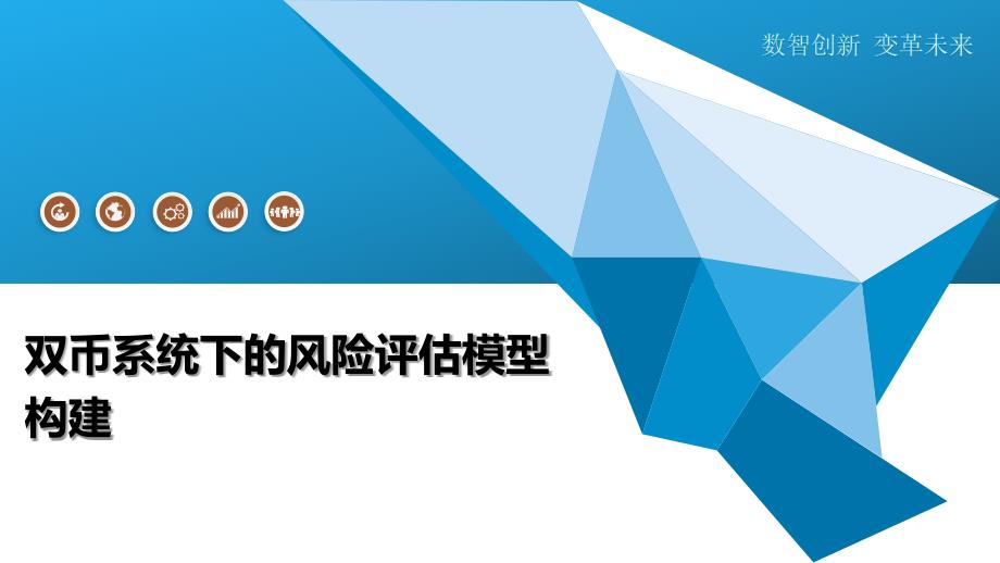 双币系统下的风险评估模型构建-深度研究_第1页