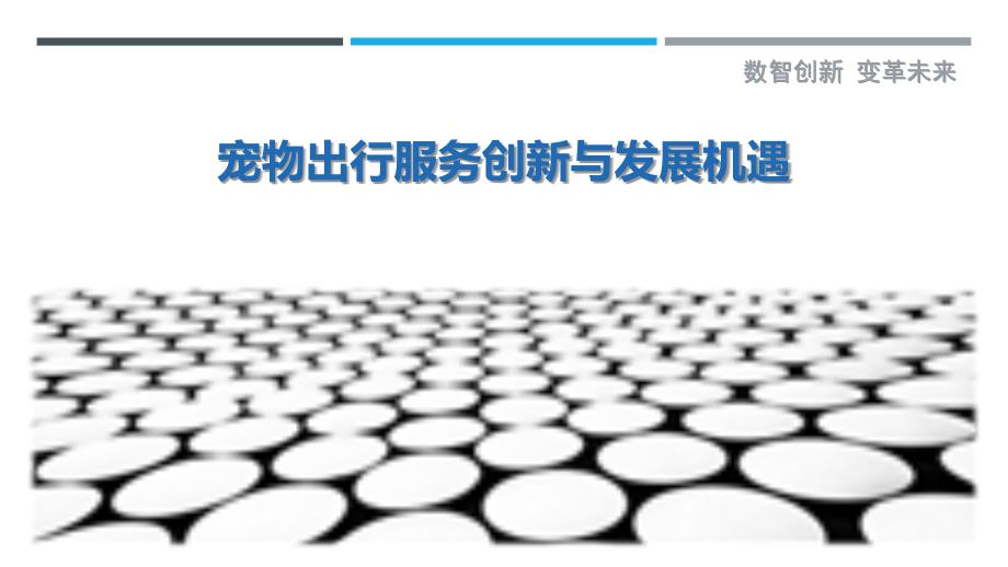 宠物出行服务创新与发展机遇-深度研究_第1页