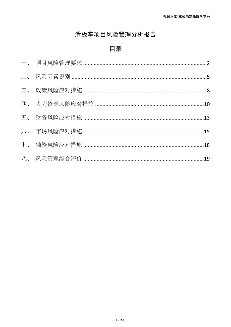 滑板车项目风险管理分析报告（参考模板）_第1页
