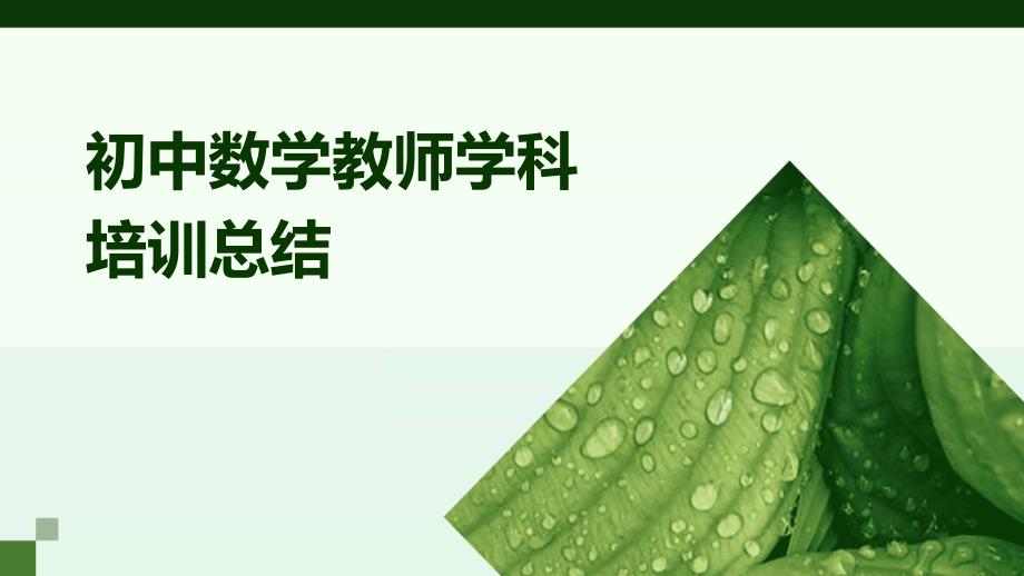 初中数学教师学科培训总结PPT_第1页