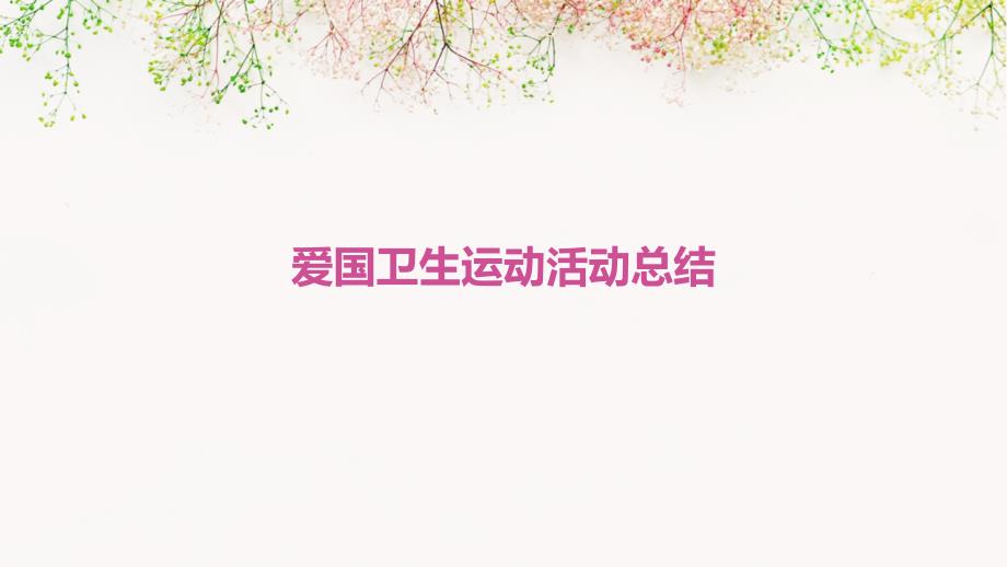 爱国卫生运动活动总结PPT_第1页