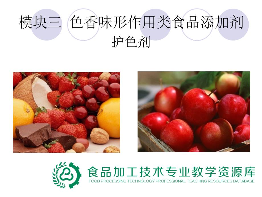 模块三-项目一-护色剂课件_第1页