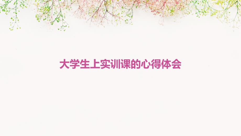 大学生上实训课的心得体会PPT_第1页