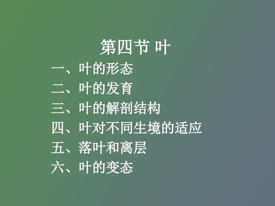 植物的营养器官-叶_第1页