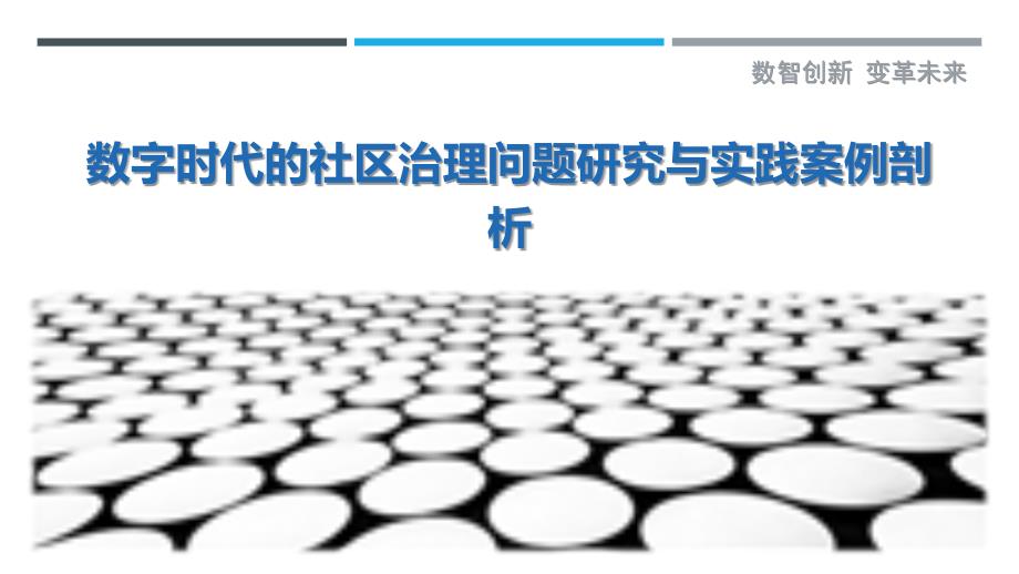 数字时代的社区治理问题研究与实践案例剖析_第1页