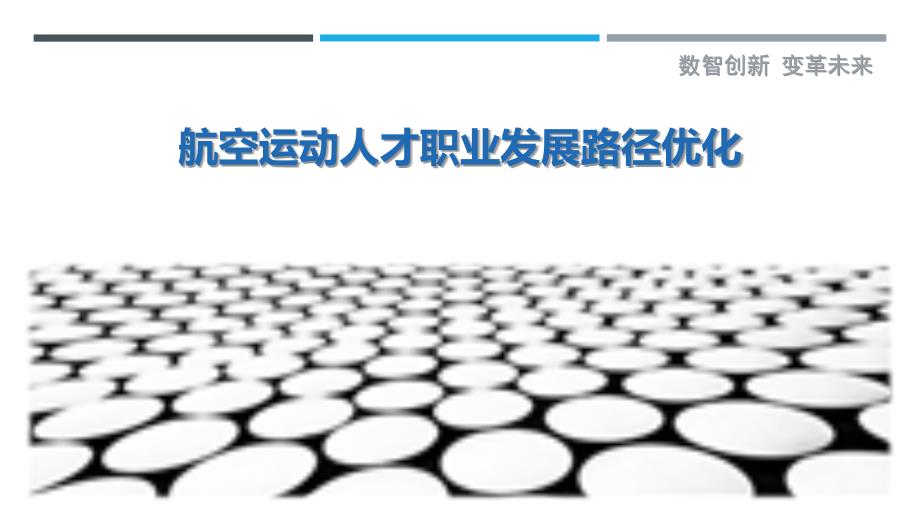 航空运动人才职业发展路径优化_第1页