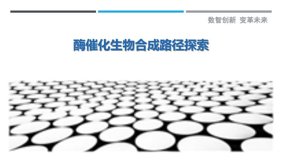 酶催化生物合成路径探索_第1页