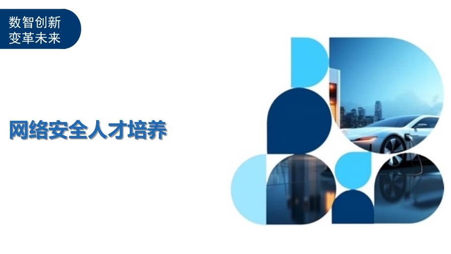网络安全人才培养-第1篇_第1页