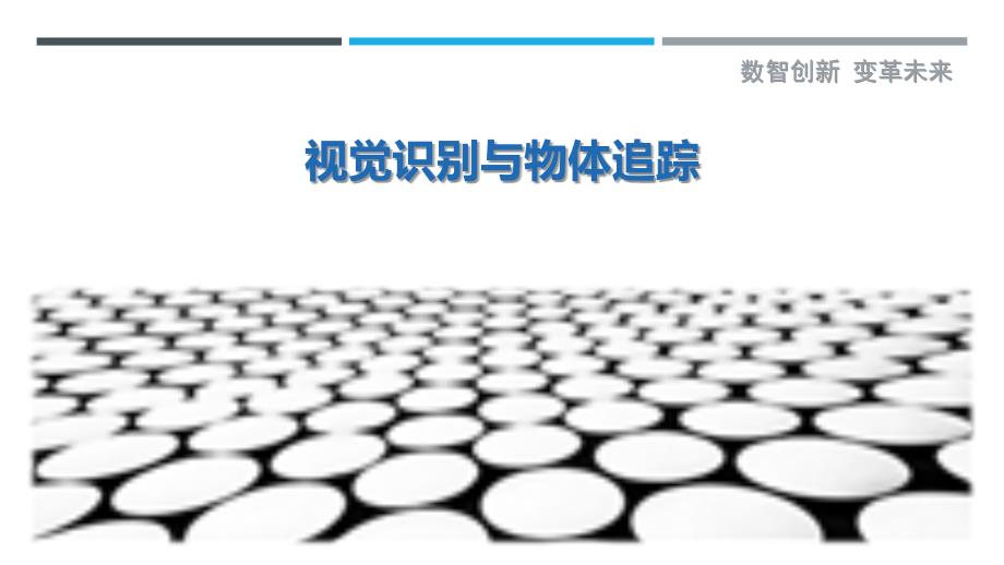 视觉识别与物体追踪_第1页