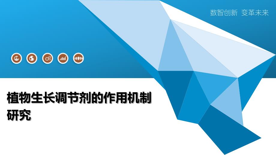 植物生长调节剂的作用机制研究_第1页