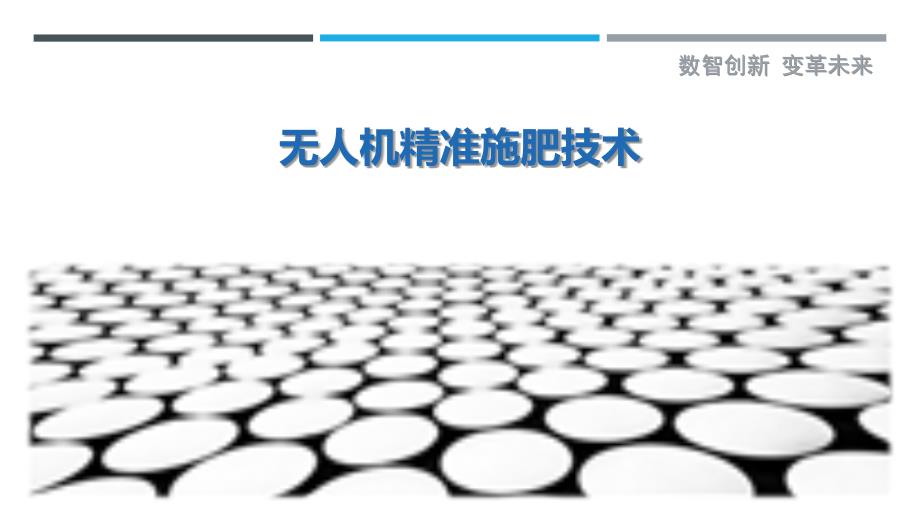 无人机精准施肥技术_第1页