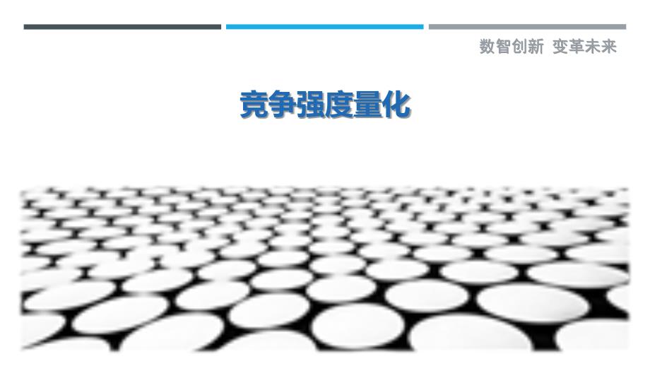 竞争强度量化_第1页