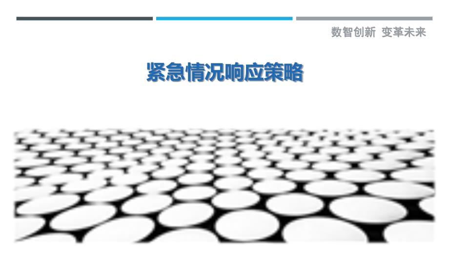紧急情况响应策略_第1页
