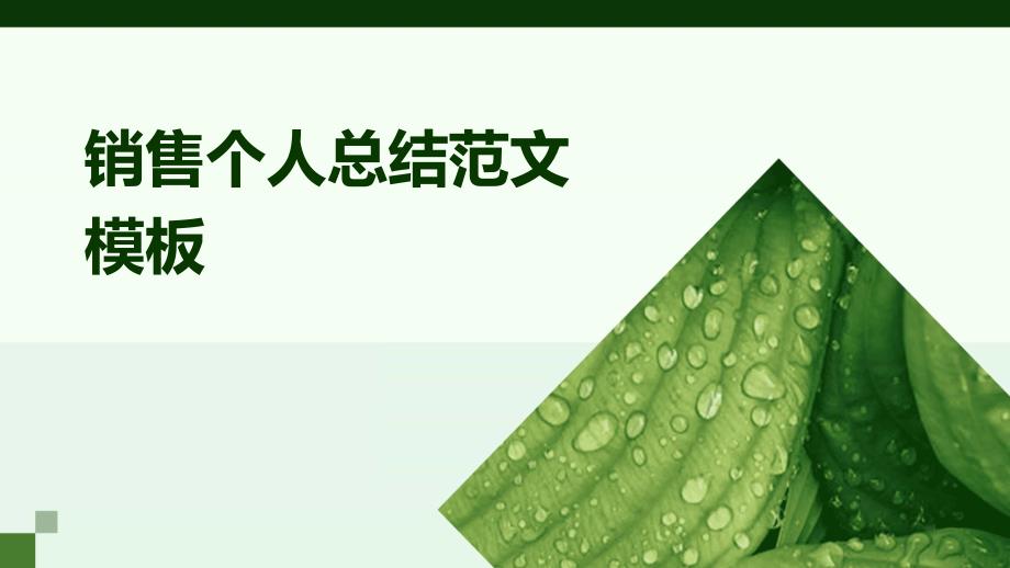 销售个人总结范文模板PPT_第1页