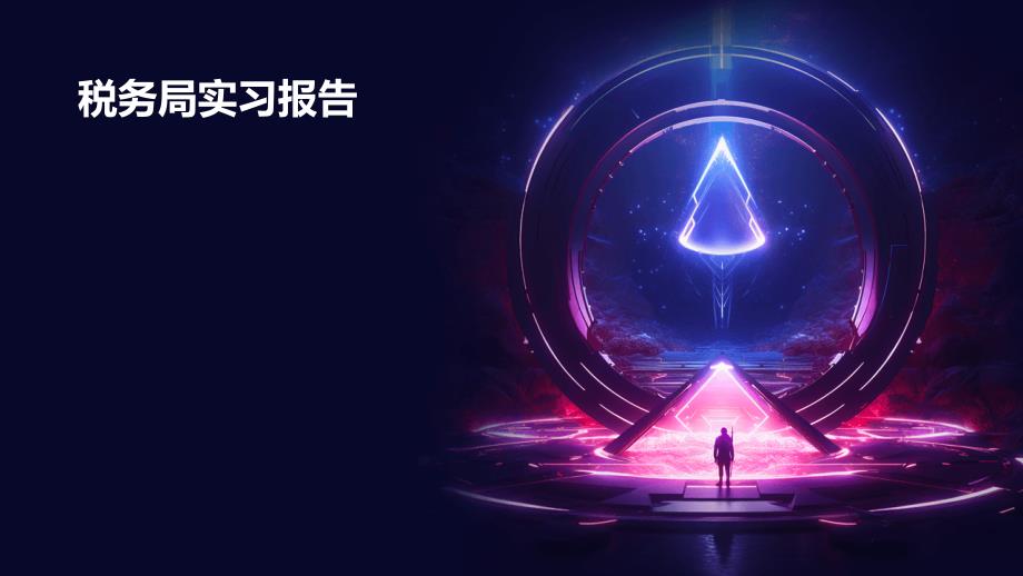 税务局实习报告PPT_第1页