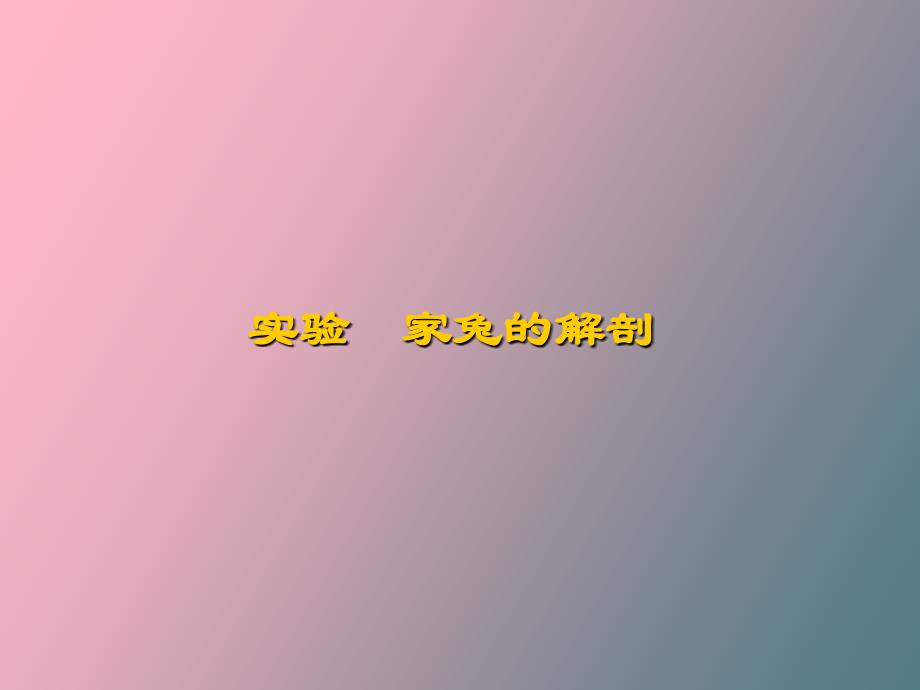 动物学实验-家兔的解剖_第1页