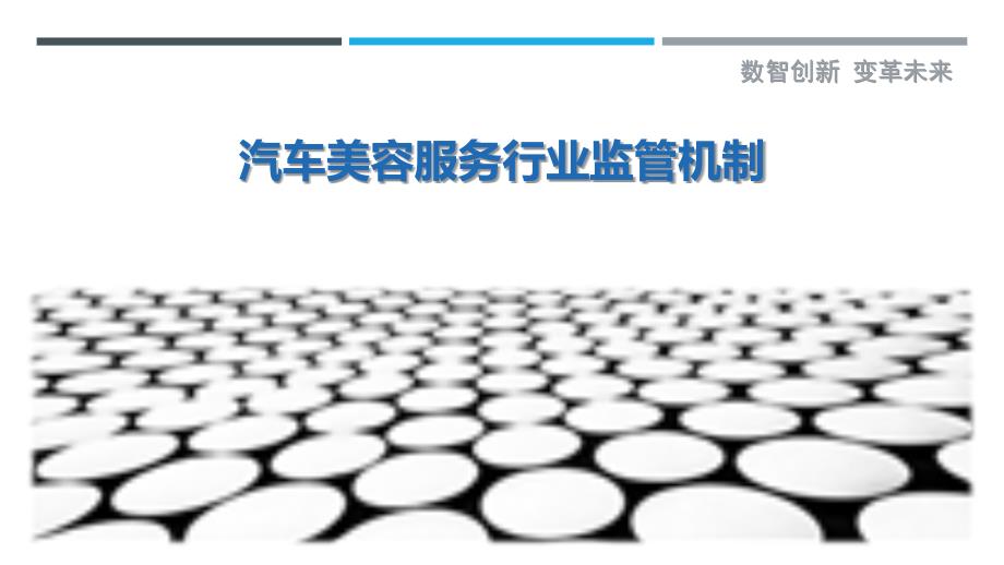 汽车美容服务行业监管机制-详解洞察_第1页