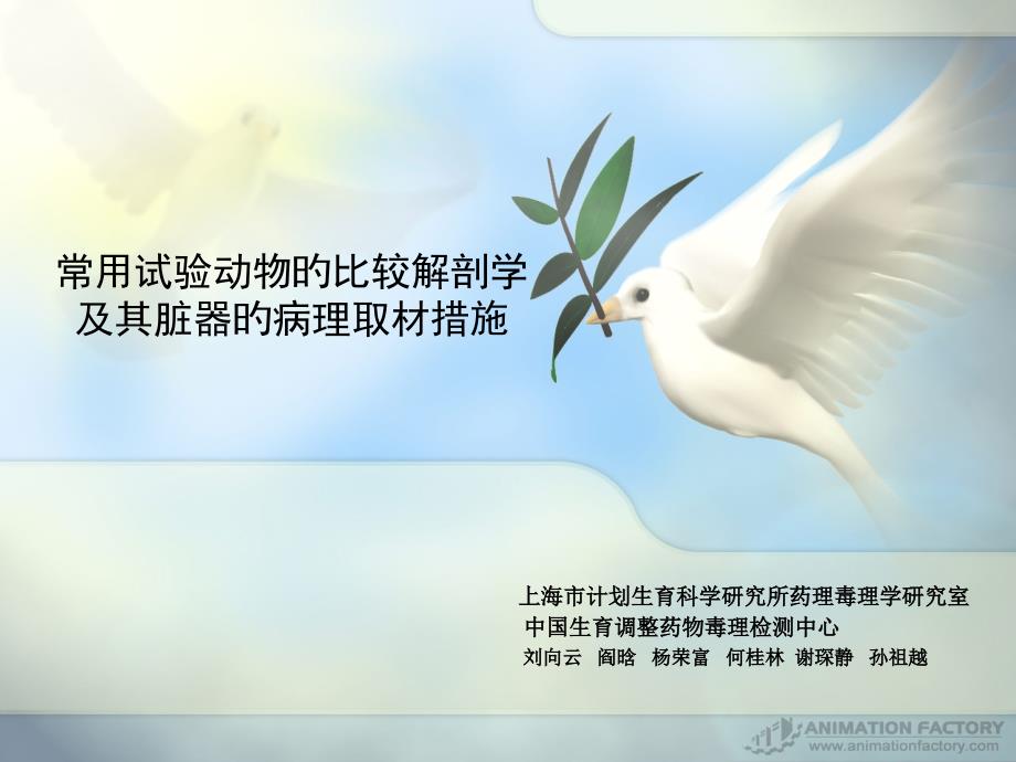 常用实验动物的比较解剖学和其脏器的病理取材方法_第1页