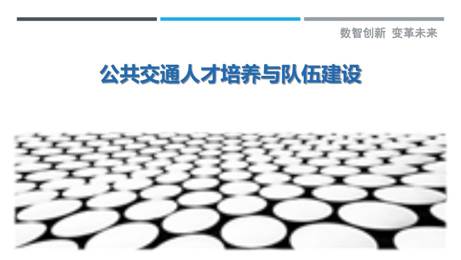 公共交通人才培养与队伍建设-详解洞察_第1页