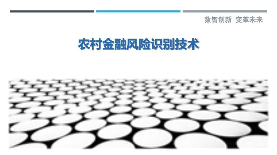 农村金融风险识别技术-详解洞察_第1页