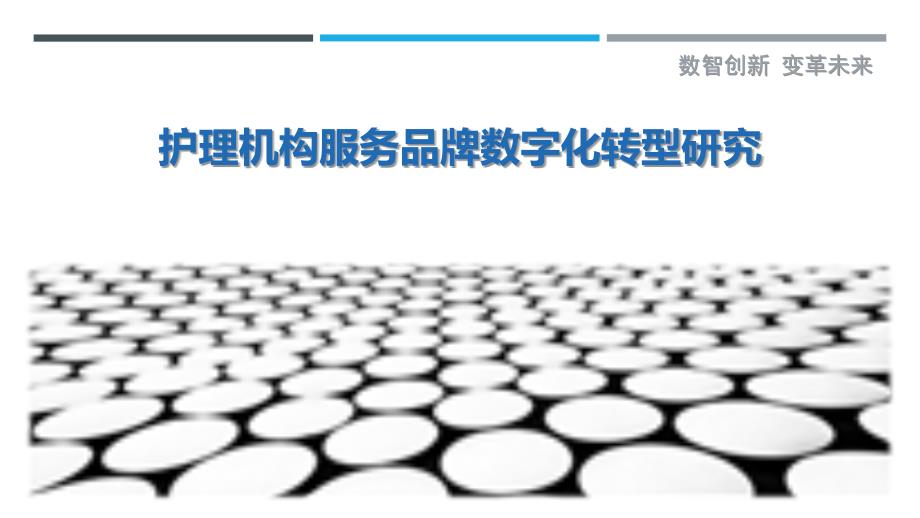 护理机构服务品牌数字化转型研究-详解洞察_第1页