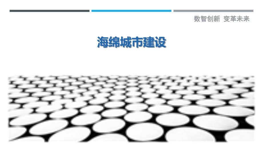海绵城市建设-详解洞察_第1页