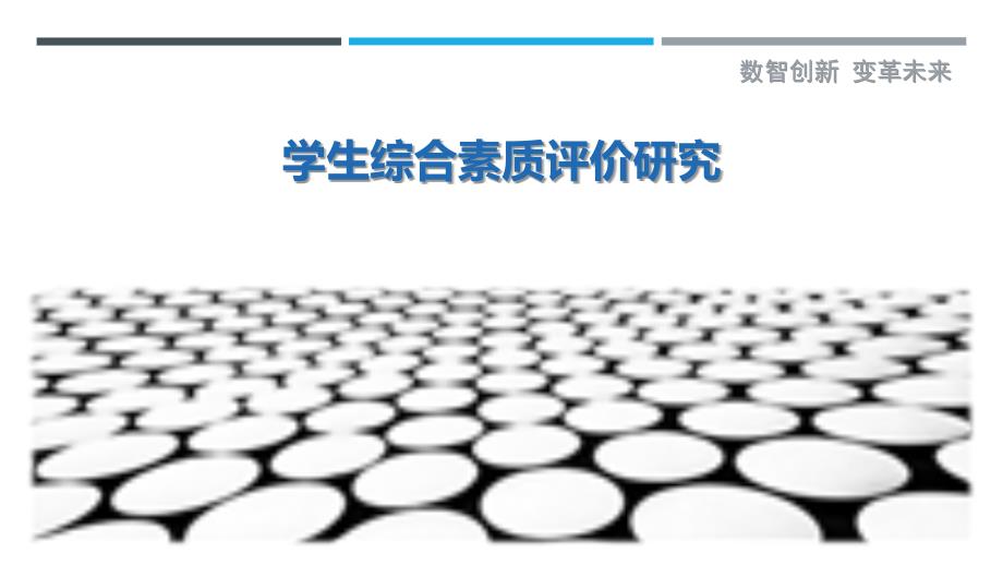 学生综合素质评价研究-详解洞察_第1页