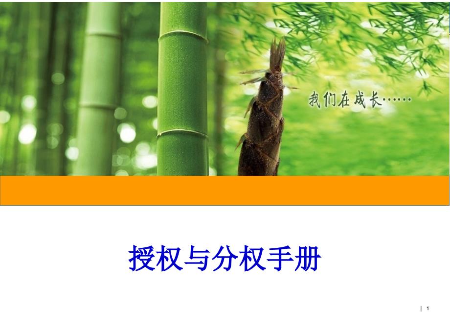 人事.财务权限授权基本原则课件_第1页
